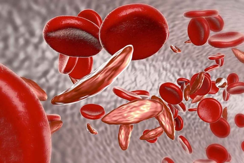 لبول های قرمز مسئول انتقال اکسیژن از ریه ها به بافت های بدن شما هستند